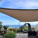 코지카페 이미지