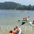 레포츠코리아 이미지