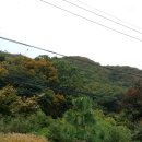 송가농장 이미지