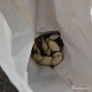 와플군 요거트양 | 수원정자동 크림와플 솔직후기 내돈내산 :: 와플대학수원정자캠퍼스