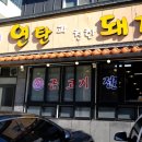 연탄과친한돼지