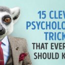 15가지 현명한 심리학적 트릭 이미지