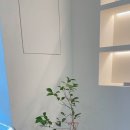 와이와이와이 이미지