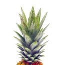 파인애플 이미지