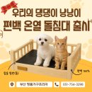 좌수영로 179번길 | 강아지 관절관리를 위한 반려동물 온열침대, 펫캐어라움 사용 후기