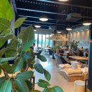 커피 202 이미지