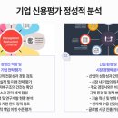 나이스평가정보(주)