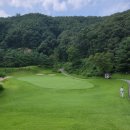 도그센추리 이미지