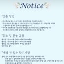 착한스냅 이미지