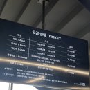 파주 아이와 가볼만한 곳 추천｜공룡 체험 가능한 뮤지엄헤이 후기
