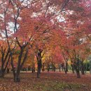 척산온천 이미지