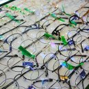 판교 글라스안경 이미지