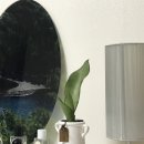 느린오후 | 강동역 귀여운 화분가게 느린토끼 분갈이 후기