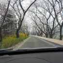 김유신장군로 이미지