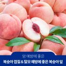4공단로1L-55 | 복숭아 효능과 황도 복숭아 통조림 만드는 법까지 알아보기