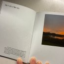 미션세상 | 강의팔이한테 사기당함 미션캠프 환급 후기 파산