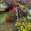 서산행정사사무소 이미지