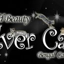 실버캐슬 캐터리 이미지