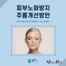 (주)블루메디텍 네이버블로그