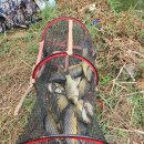 정안 낚시터 이미지