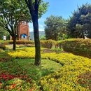 바다윤슬 이미지