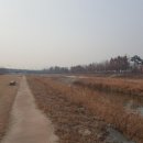 율곡천 5 이미지