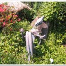 하이디하우스 이미지