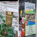 oh my dog(오마이독) | (광주)수완지구 강아지미용실 &#34;디어마이 독&#34; 애견미용(알러지강아지전문)