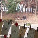 뫼골공원 티스토리