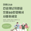 으뜸50안경 서대문영천시장점 네이버블로그