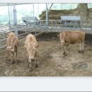 늘품농장 이미지