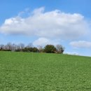 생동목장 이미지