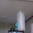 새이화음악학원 이미지