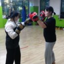 충청북도올림푸스짐 네이버블로그