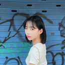 1209 이미지