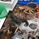 아구세상수송점 | 시월에도 맛있는 음식들 뇸뇸