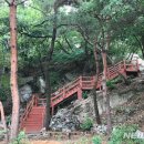 산림욕장 이미지