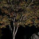 my drink museum 이미지