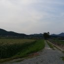 율포리 경로당 티스토리