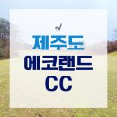 그린필드주식회사 | 제주도2인노캐디- 에코랜드CC 라운딩 후기!