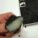 개꼬신내 이미지