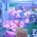 X-TOP 오락실 이미지