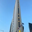 호텔 더디자이너스 홍대 | 홍대 합정 핫플 호텔 발견! 호텔 더 디자이너스 홍대 후기 가성비 ✨️