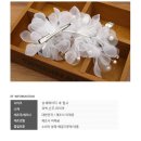 퓨아 이미지