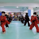 탑특공무술