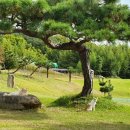 창녕파3 골프랜드 이미지