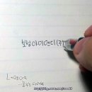 보성아이엔디 이미지