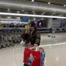 [🇯🇵도쿄] 2025 도쿄여행 결산