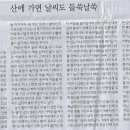 인간-항해일지 이미지