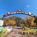 횡성군 병지방 오토캠핑장 이미지